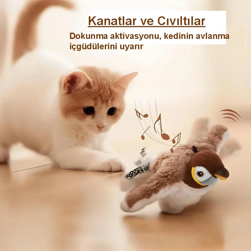 ZIALIX   Elektrikli Pat Kuş Dokunmatik Kedi Oyuncağı
